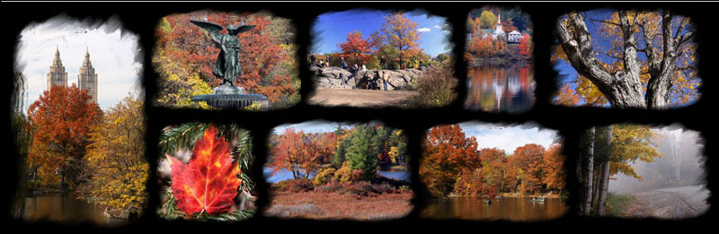 Fall